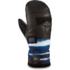 Dakine Team Baron mitt 1