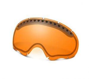 Oakley Goggles