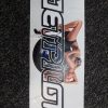 Jet Pilot sticker Burn Out 15 AC11064