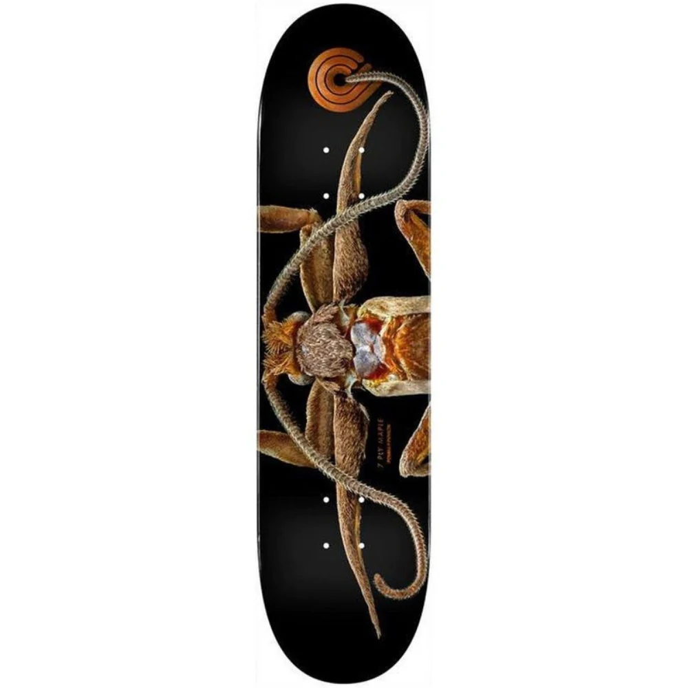 Levon-Biss-Marion-Flightless-Moth-Powell-Peralta-8-25-Skateboard-Deck