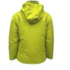 Cartel-Manfred-Lime-back Cartel-Manfred-Lime-back