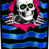 DCGMPSOGR14